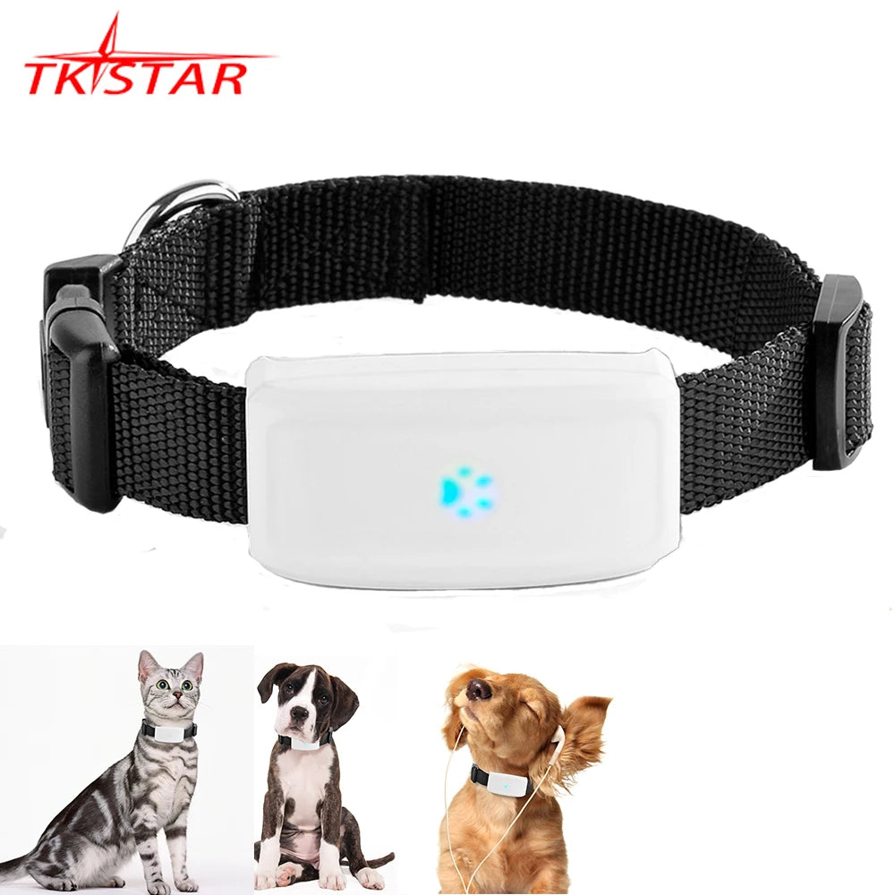 2G GSM GPS Tracker Pet TK911 GPS Locator  Mini GPS Pets Tracker 2G GSM Best Dog GPS Tracker with Free APP Waterproof IP67