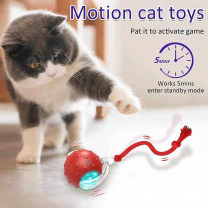 Interactive Rolling Cat Ball, Dog Toys Rolling Ball for Indoor, 360 Degree Smart Automatic Rolling Pet Ball, Self Rolling Ball