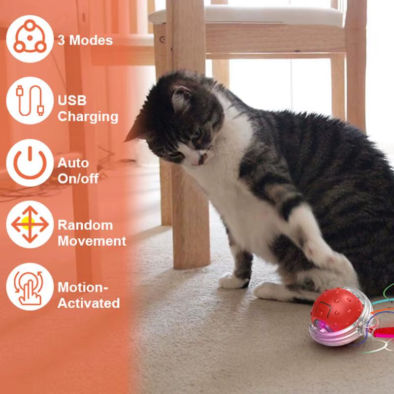 Interactive Rolling Cat Ball, Dog Toys Rolling Ball for Indoor, 360 Degree Smart Automatic Rolling Pet Ball, Self Rolling Ball